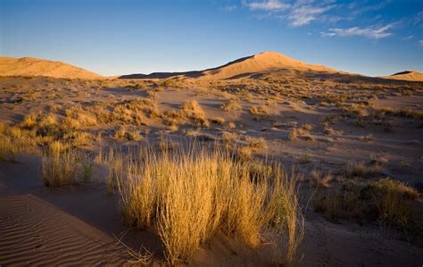 Sunrise at Kelso Dunes, Mojave Nationa Preserve | Kelso Dune… | Allan ...