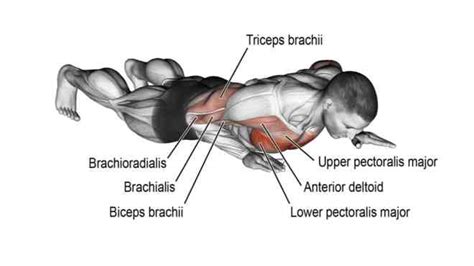 How to Do Close Grip Push Up Correctly