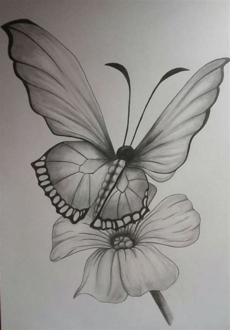 40 Beautiful Simple Butterfly Drawings In Pencil - Hobby Lesson ...