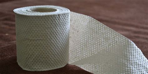 Best Toilet Paper Alternatives: 8 Options for When Supplies Run Low