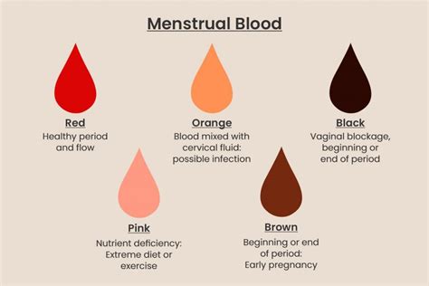 What do different color period blood mean – The Meaning Of Color