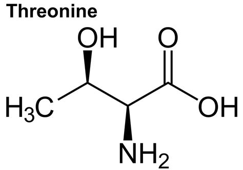 Threonine function, uses, food sources & side effects