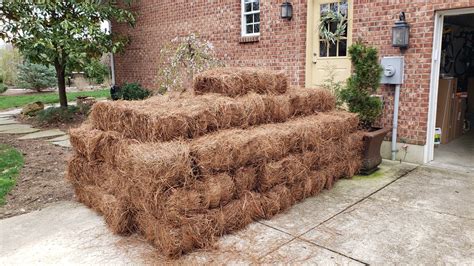 Longleaf Pine Straw Bale — TryPinestraw.com (Cincinnati Pine Mulch LLC)