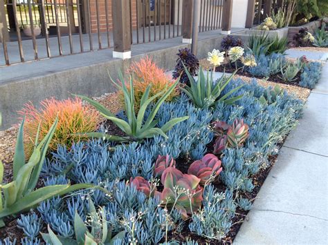 Image result for modern california landscape designs | Drought tolerant ...