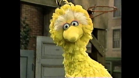 Classic Sesame Street - Big Bird The Grouch - YouTube