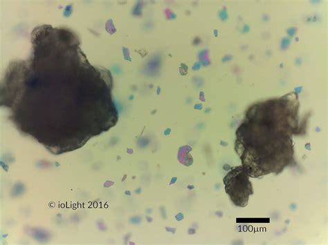 Field Microscopy, Micro-plastic particles in cosmetics cause pollution