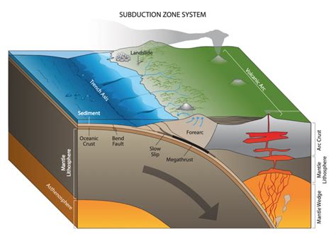 Subduction zone diagram [IMAGE] | EurekAlert! Science News Releases