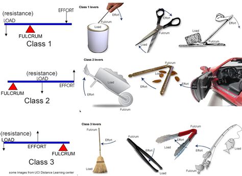 First Second Third Class Lever Examples