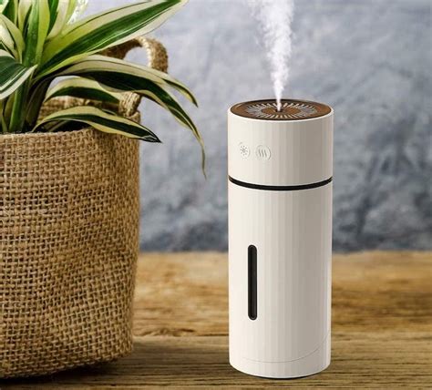 The 6 Best Mini Humidifiers