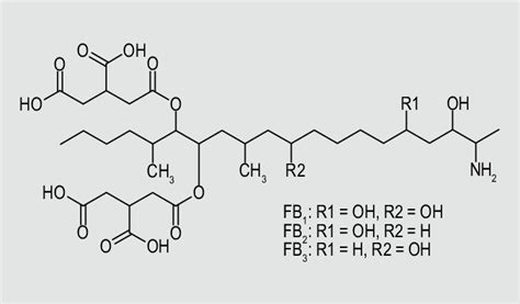 Chemical structures of the main fumonisins. | Download Scientific Diagram