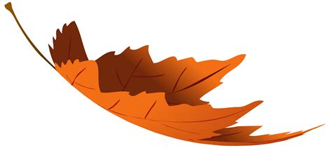 Autumn leaf color Autumn leaf color Clip art - autumn leaves png ...