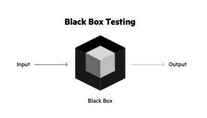 Black Box Testing Pros and Cons