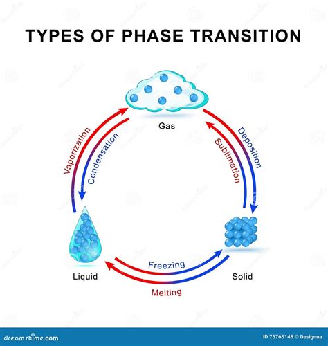 Types Of Phase Transition Vector Illustration | CartoonDealer.com #75765148