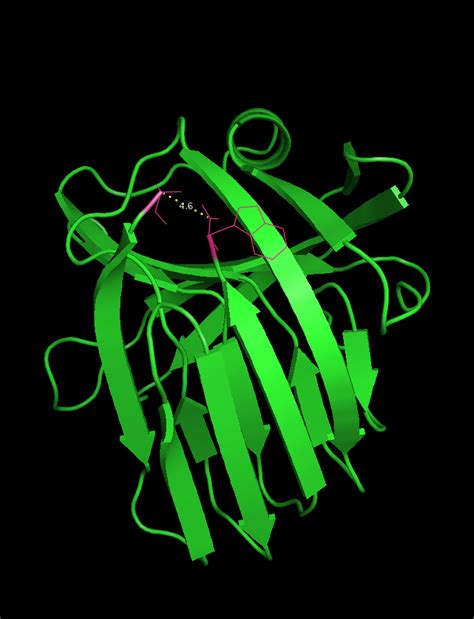 Team:Heidelberg/pages/Xylanase - 2014.igem.org