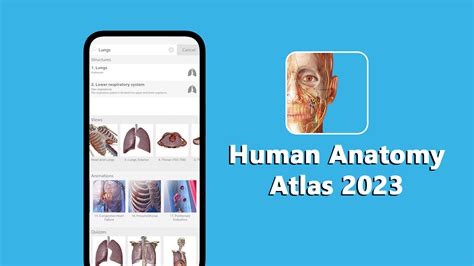 Human Anatomy Atlas 2023 MOD APK v2024.00.005 (Unlocked) for Android