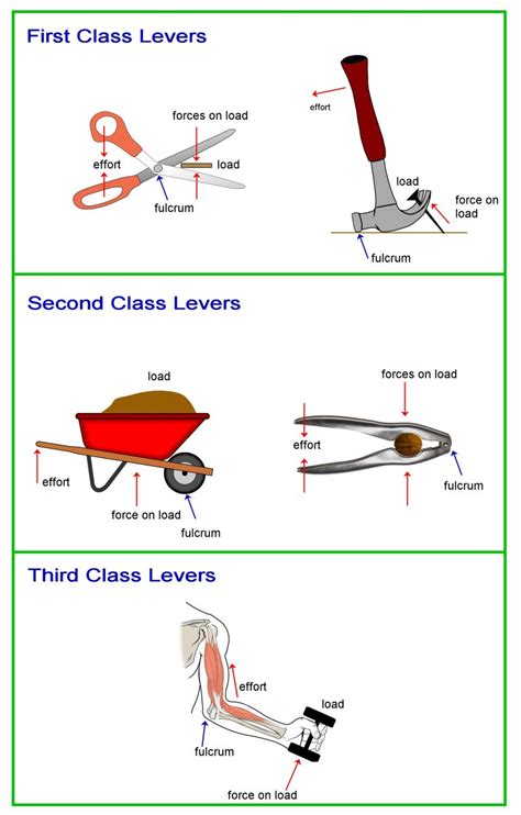 First Second Third Class Lever Examples