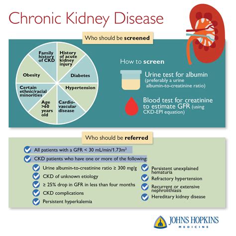 Left Kidney Pain Symptoms Causes And Treatments