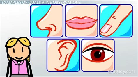 Qualitative Observation | Definition and Examples - Lesson | Study.com