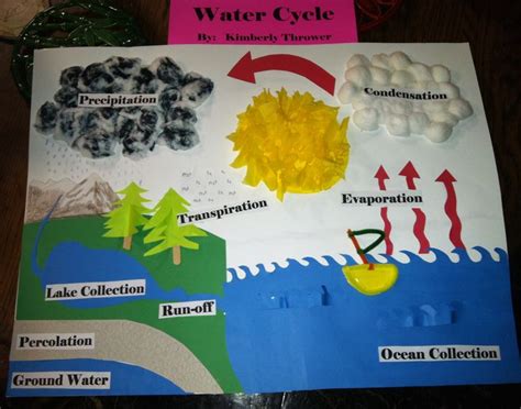 Pin by Patricia Thrower on School Stuff | Water cycle, Water cycle ...