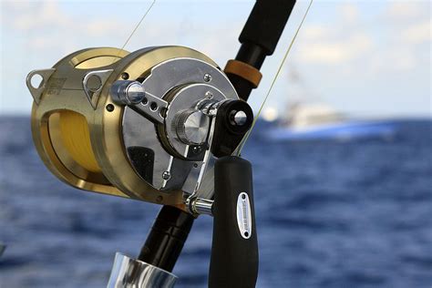 Top 5 Brands of Saltwater Reels