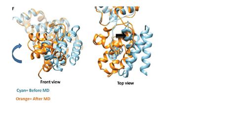 BRF2 structure and conformational changes. (A)The structure of the BRF2 ...