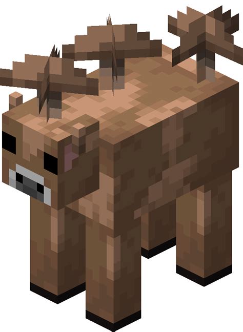 Brown Mooshroom | Minecraft Wiki | Fandom