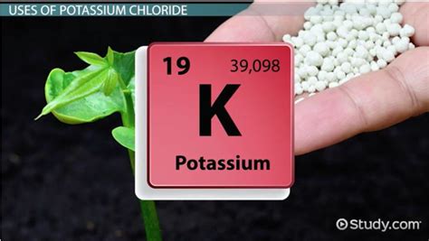 What is Potassium Chloride? - Uses, Formula & Side Effects - Video ...