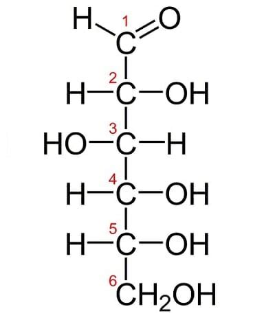 Structure Of Monosaccharides Disaccharides And Polysaccharides