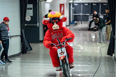 Benny the Bull Photo Gallery | NBA.com