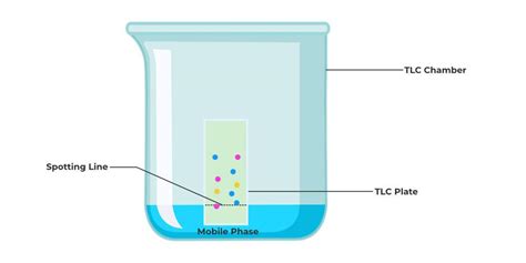 Chromatography: Definition, Principle, Types & Applications