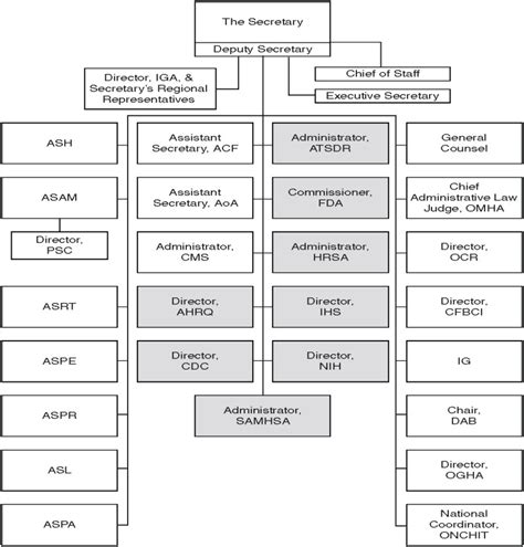 HHS Organizational Chart and Missions - HHS in the 21st Century - NCBI ...