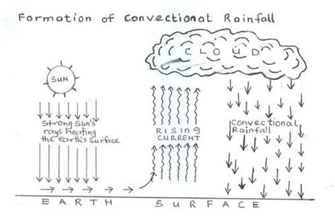 What is rain? Classify rainfall and explain convectional | KnowledgeBoat