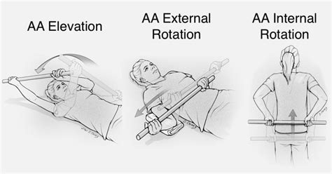 Physical Therapy Exercises for the Shoulder - Shoulder & Elbow (2023)