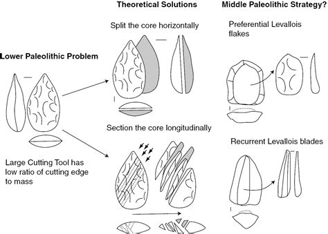 Lower Paleolithic Tools