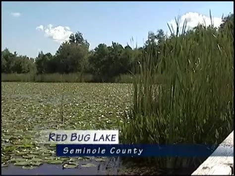 Red Bug Lake Restoration : Seminole County Government : Free Download ...