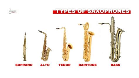 Saxophone Types: 4 Common Types & Other Sax Family Members - Orchestra ...