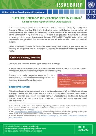 Future Energy Development in China - A brief on White Paper: Energy in ...