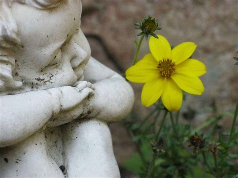 Eco Friendly Green Burials - Turning the Clock Back