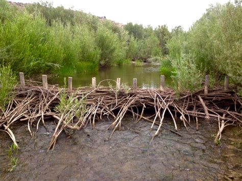 Beaver Dam Analog Built on Ore [IMAGE] | EurekAlert! Science News Releases