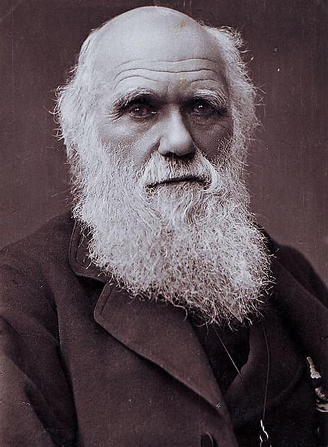 We must secure Charles Darwin's legacy – Shrewsbury's future lies in ...