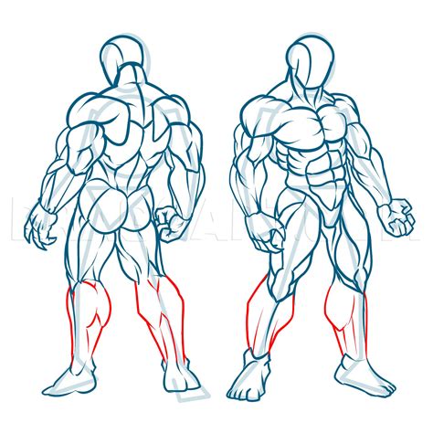 How To Draw Muscles, Step by Step, Drawing Guide, by KingTutorial ...