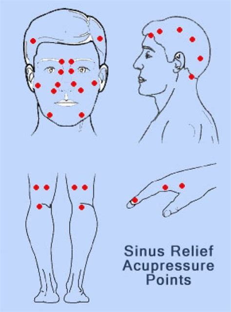 Acupressure Points for Sinus Relief | Reflexology, Acupressure ...