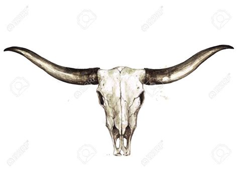 Longhorn Skull. Watercolor Illustration. , #Sponsored, #Skull, # ...