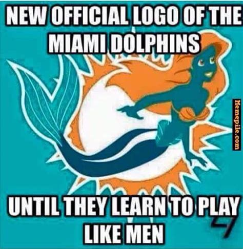 Miami memes | Miami dolphins funny, Miami dolphins memes, Miami dolphins