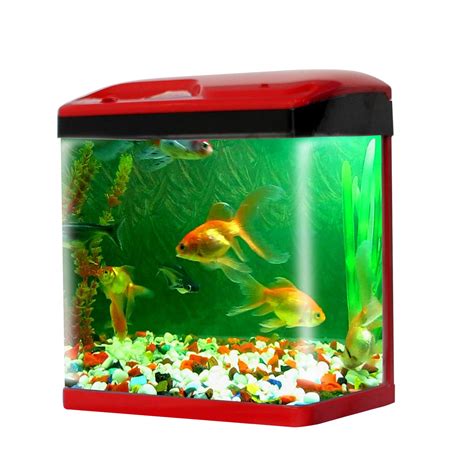 Top 10 Aquariums & Fish Bowls to buy in 2021 in India | Vasthurengan.Com