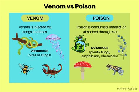 Venom vs Poison - Difference Between Venomous and Poisonous