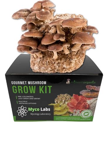 Shiitake Mushroom Grow Kit (5lbs)