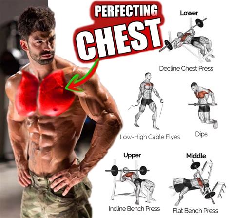 Pectoral Training Program for Chest Mass : r/gymguide