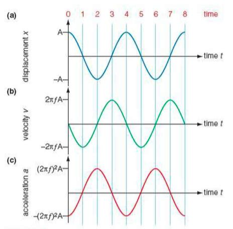 Mathematical Description of SHM | Digestible Notes