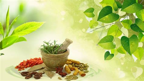 Ayurveda HD Wallpapers - Top Free Ayurveda HD Backgrounds - WallpaperAccess